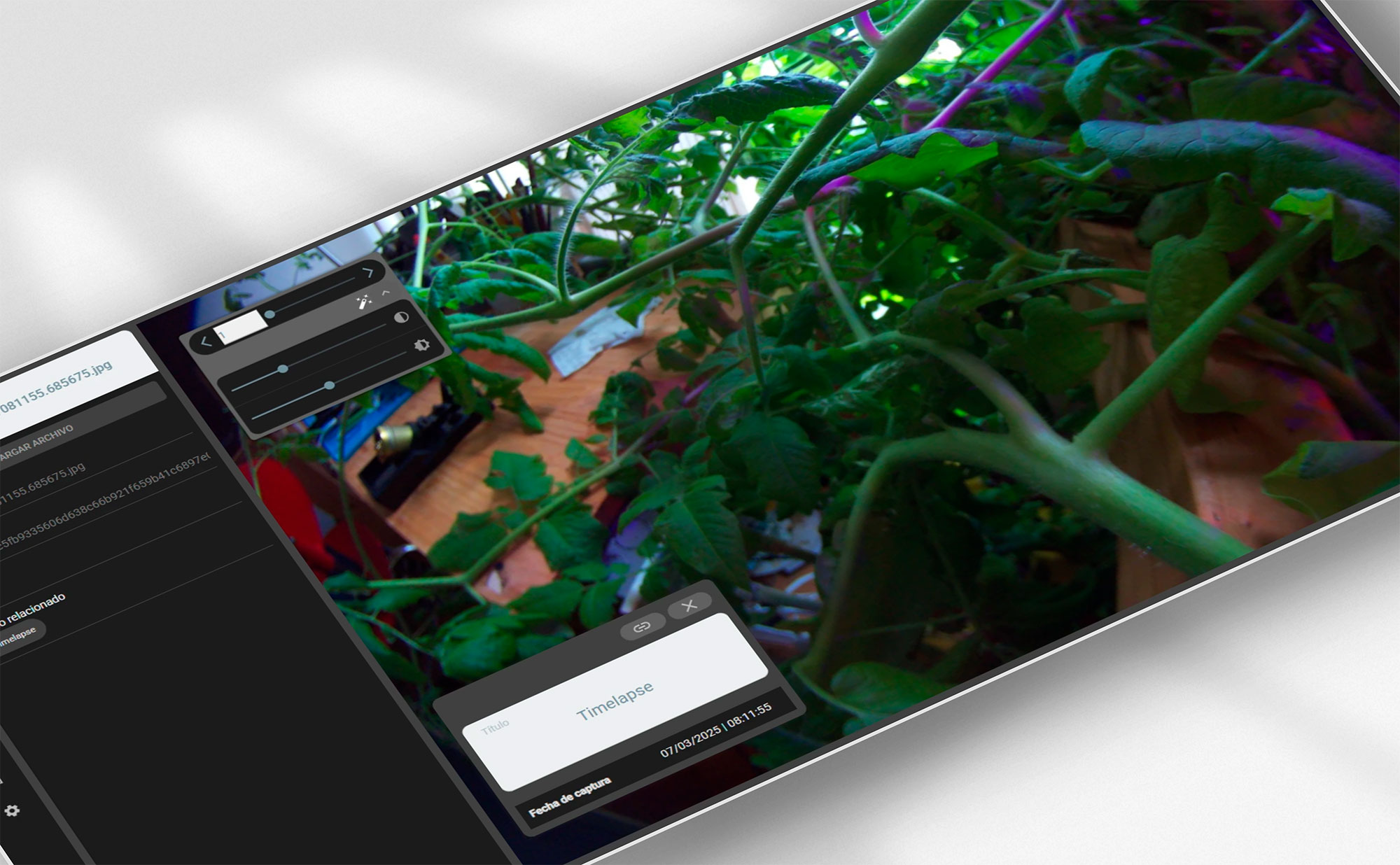 View from the application showing the capture of a camera connected to the system and programmed to take a photo at regular intervals