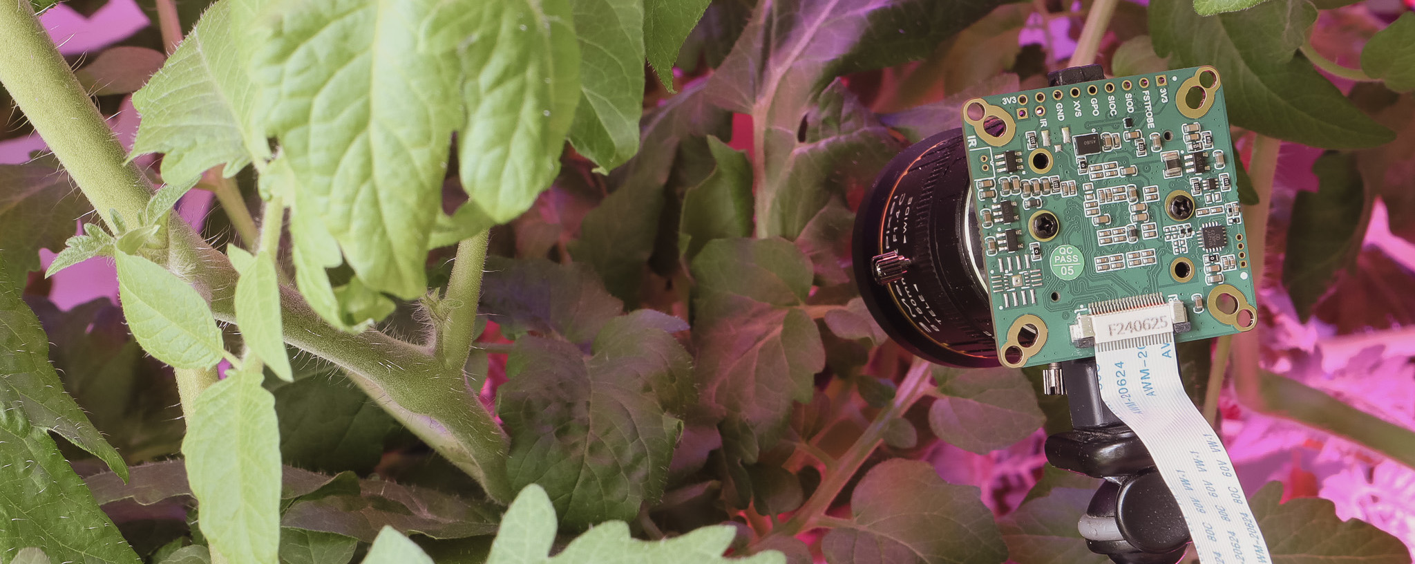 Camera prototype connected to ArchiHUB for information collection from a hydroponic garden