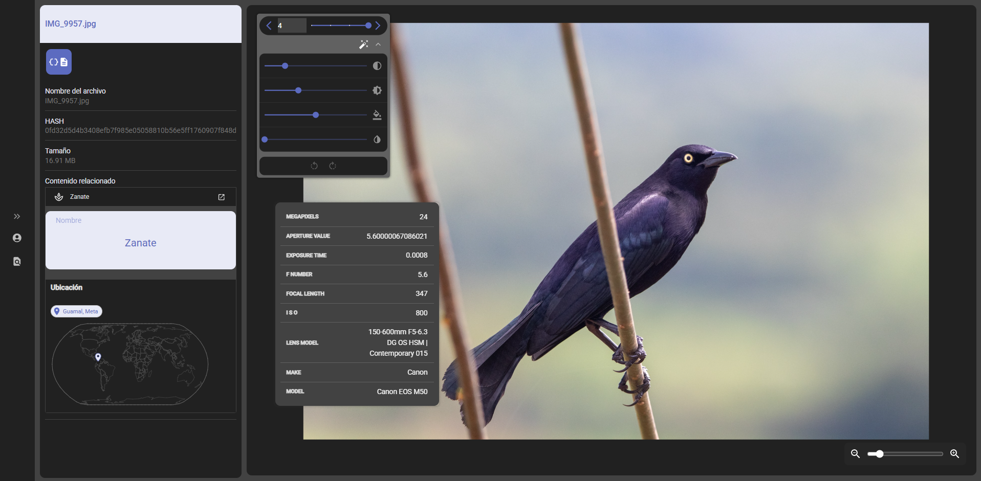 Image view with Exif and cataloging metadata
