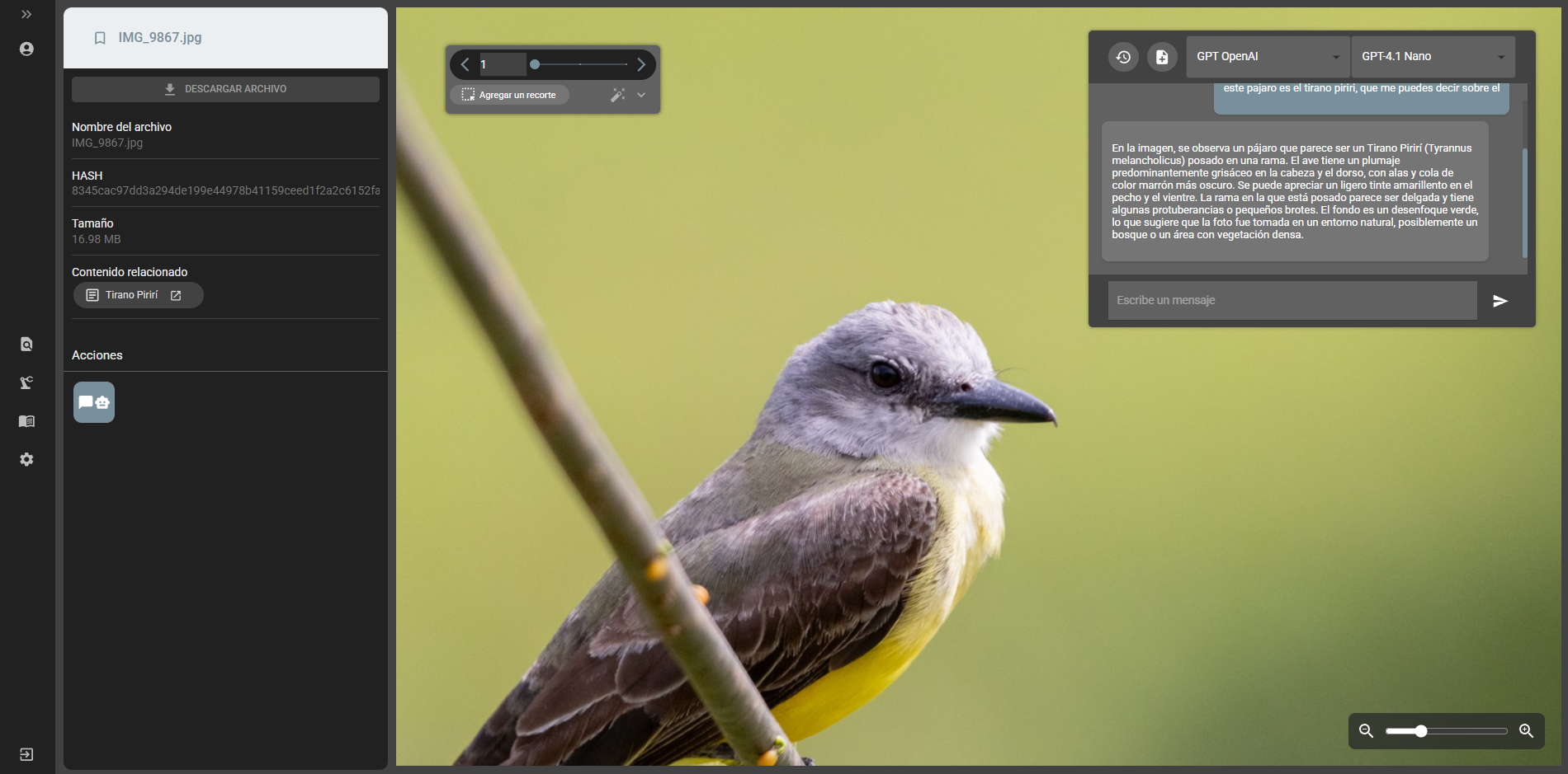 AI assistant for images and documents